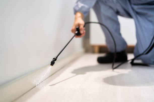Licensed Cockroach Control service in Ashland, AL - Nex Pest Control
