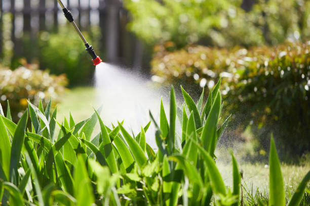 24/7 Emergency Cockroach Control experts in Ashland, AL