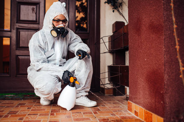 Reliable Cockroach Control contractor in Ashland, AL by Nex Pest Control
