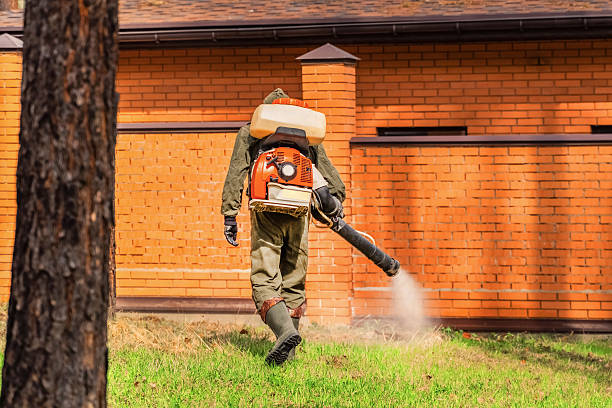Trusted Cockroach Control service in Ashland, AL - Nex Pest Control